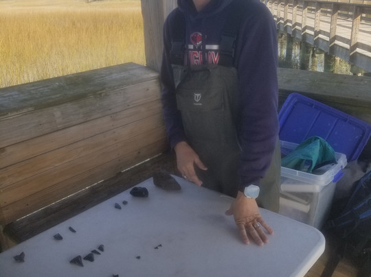 Charleston Fossil Adventures-查尔斯顿必去景点