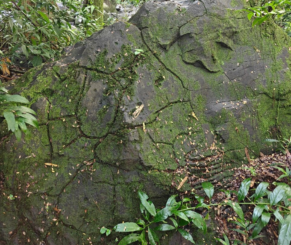 Hike Kauai With Me-普林斯维尔必去景点