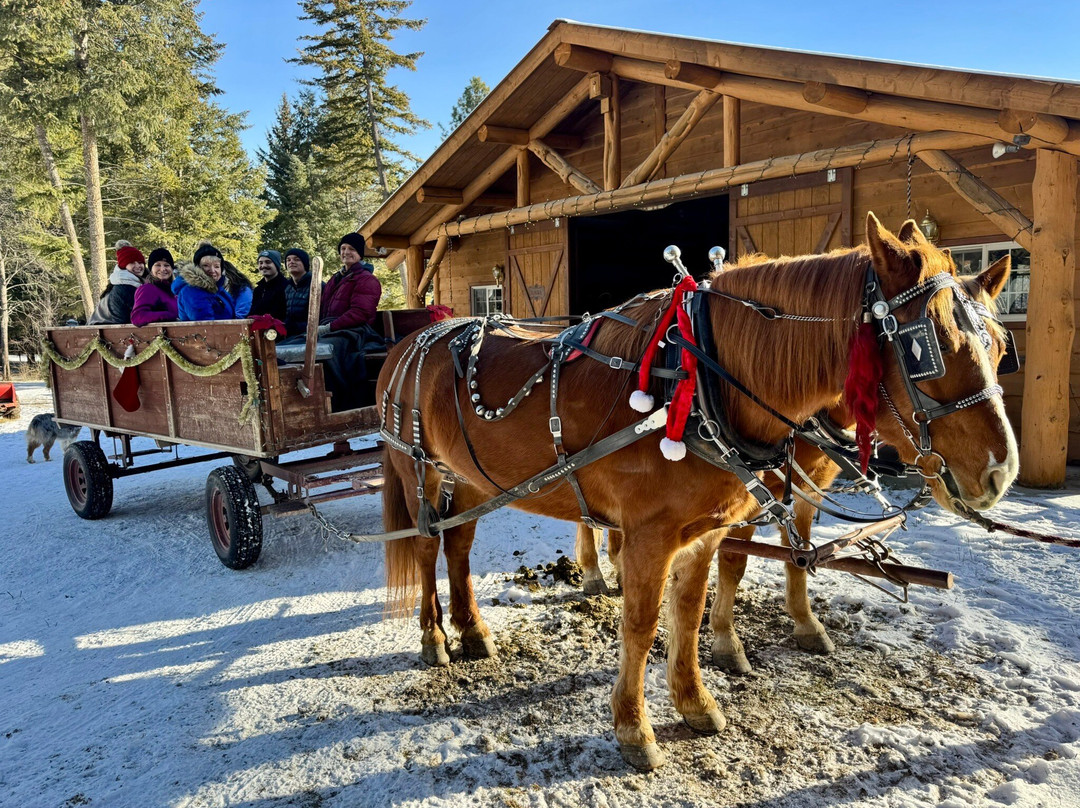 Cripple Creek Horse Ranch-Trego必去景点