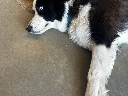 Poonawatta-Eden Valley必去景点