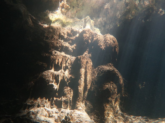 The Reef Marina-普拉亚德尔卡曼必去景点