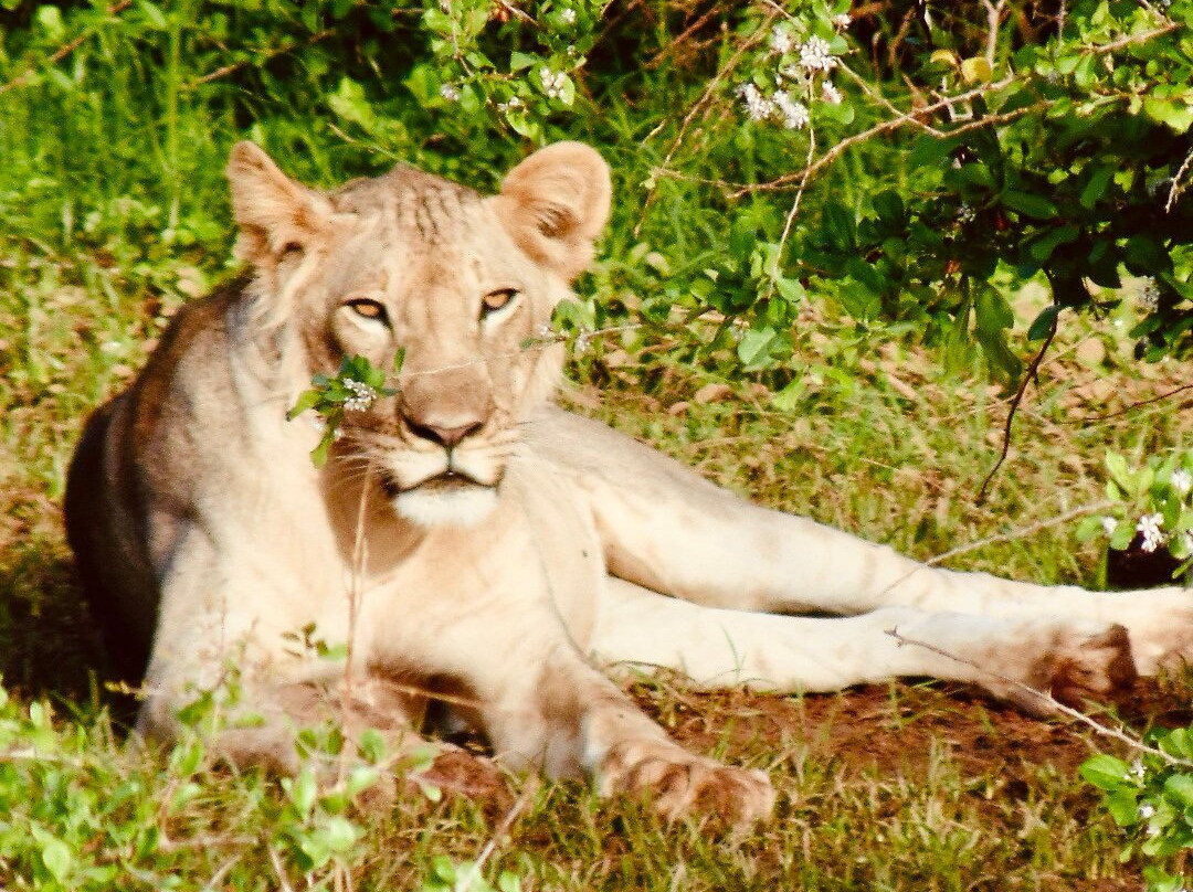 Scopri il Kenya con Nicholas-瓦塔木必去景点