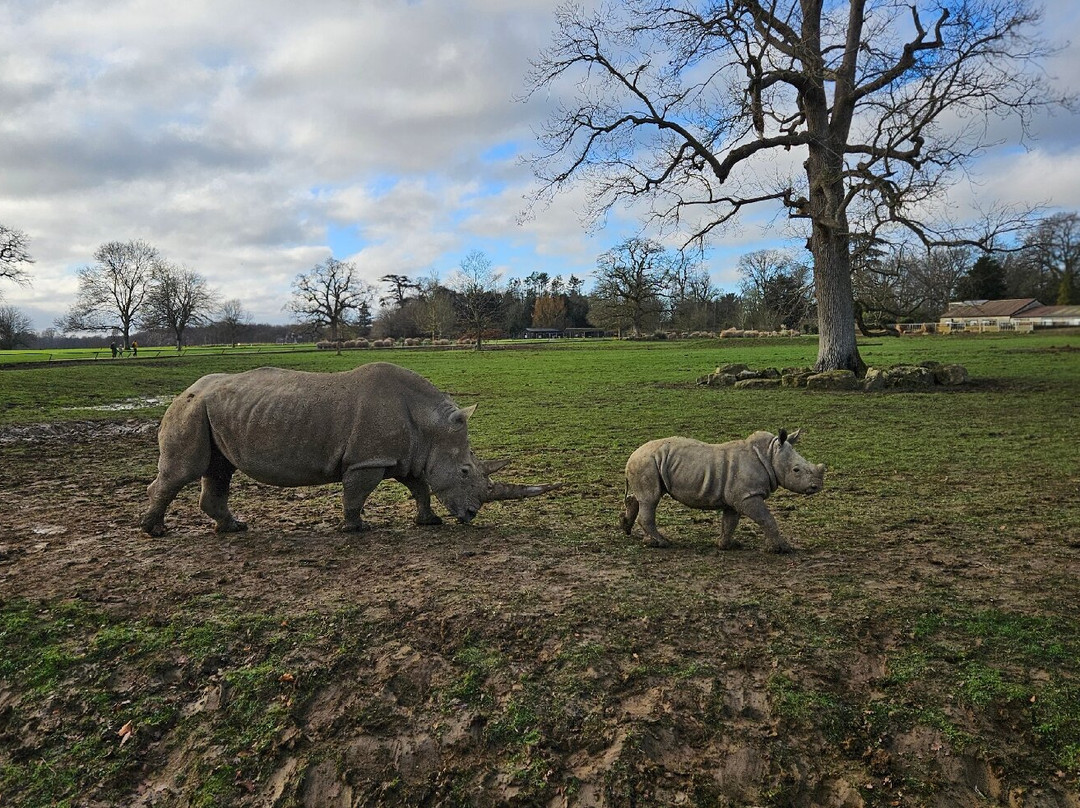 科茨沃尔德野生动物公园和花园-伯福德必去景点