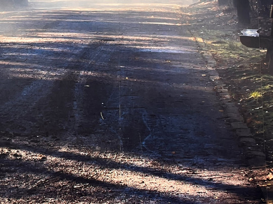 Hotel Paffhausen主图