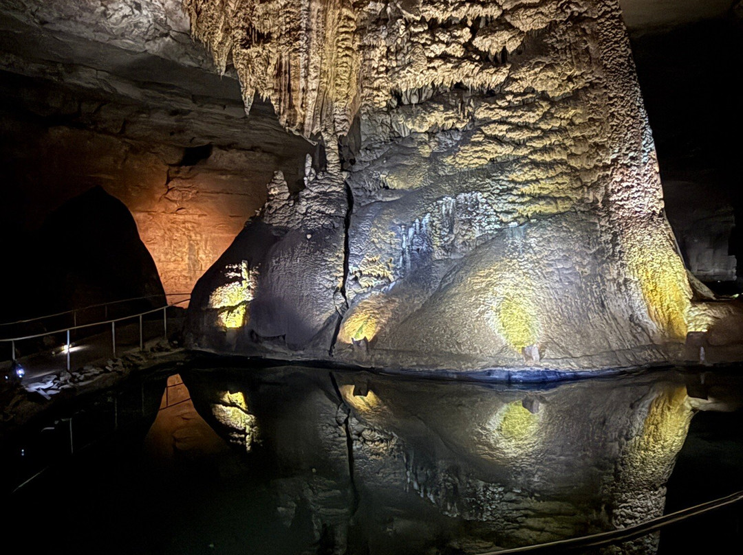 Cathedral Caverns State Park-Woodville必去景点