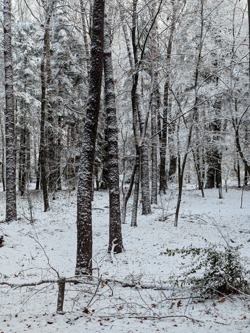 Fletcher Hotel-Restaurant De Scheperskamp-官方