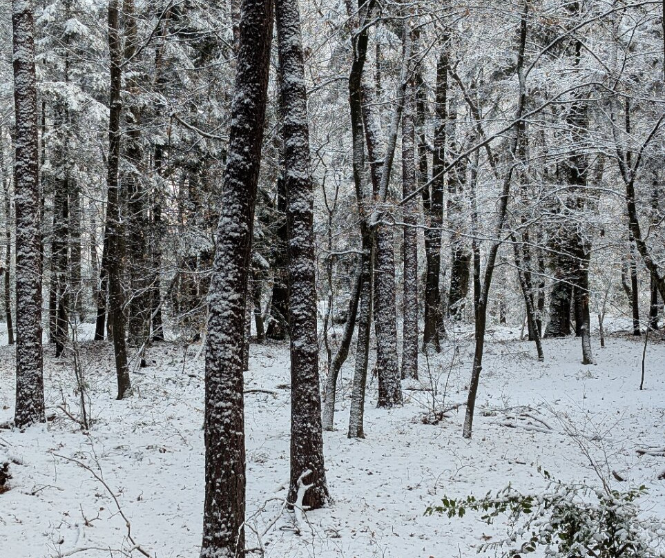 Fletcher Hotel-Restaurant De Scheperskamp主图