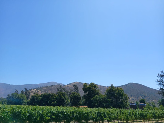 Viña Ballek-Isla de Maipo必去景点