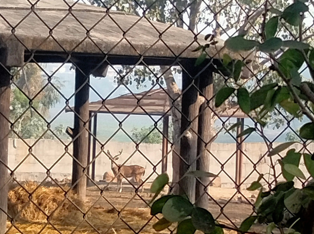 Rajiv Gandhi Zoological Park-浦那必去景点