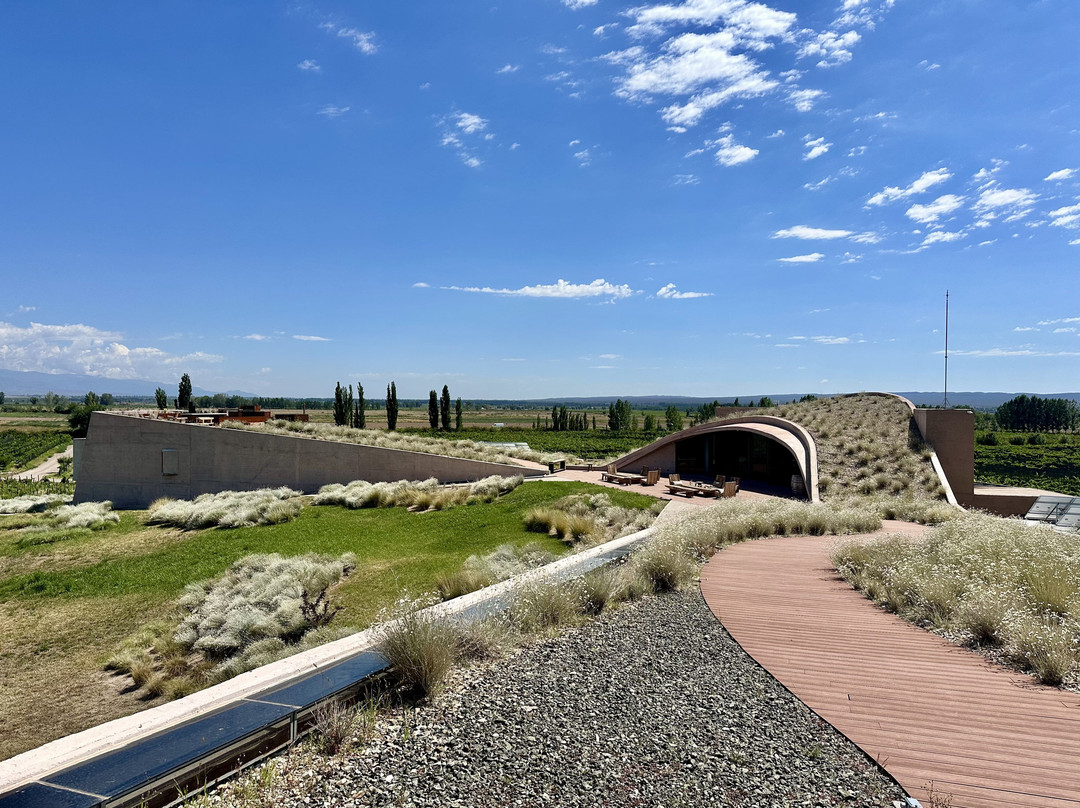 Bodega Alpamanta-路冉得库约必去景点