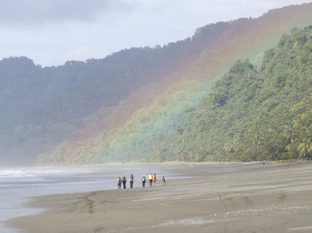 Surcos Tours-希门尼斯港必去景点