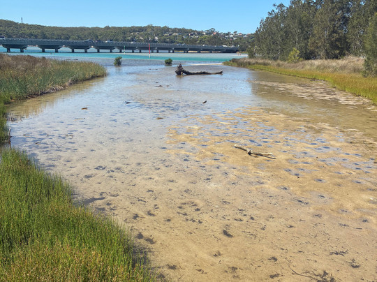 Burrill Lake-Burrill Lake必去景点