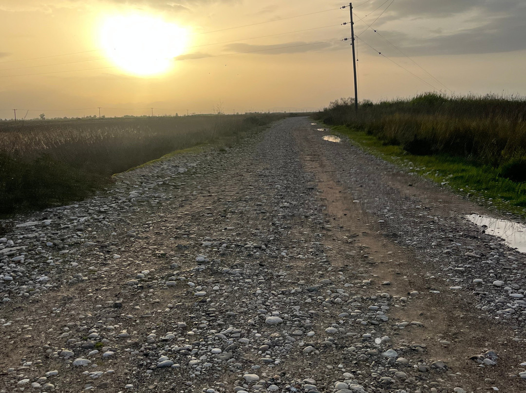 Messolonghi by Locals-Mesolongion必去景点