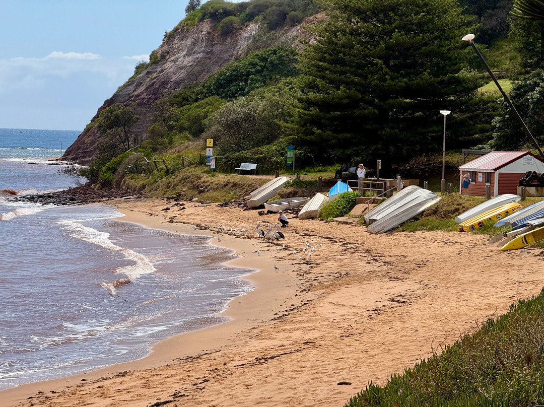 Fishermans Beach-Collaroy Beach必去景点