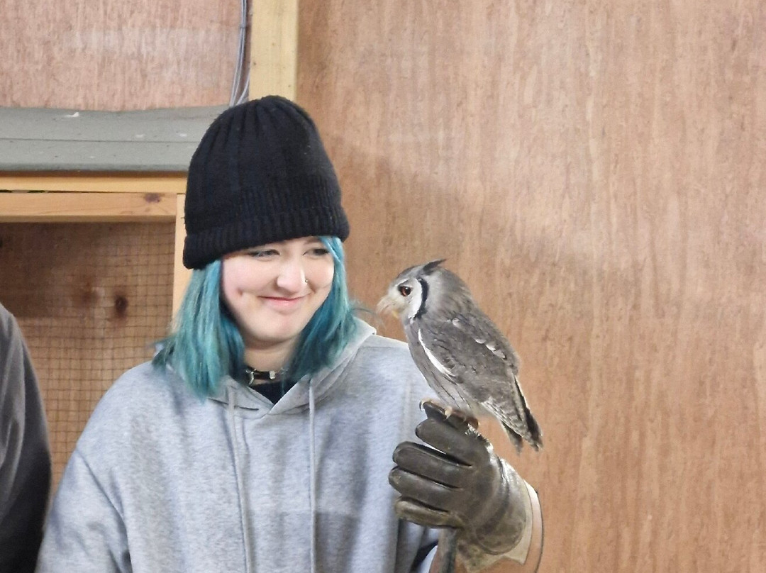 The Bird Of Prey Project-巴斯必去景点