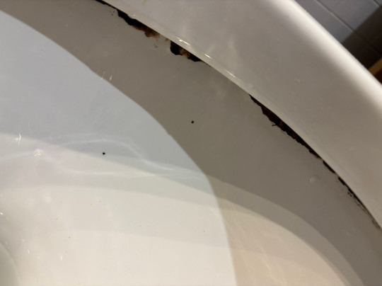 阿罗那酒店主图