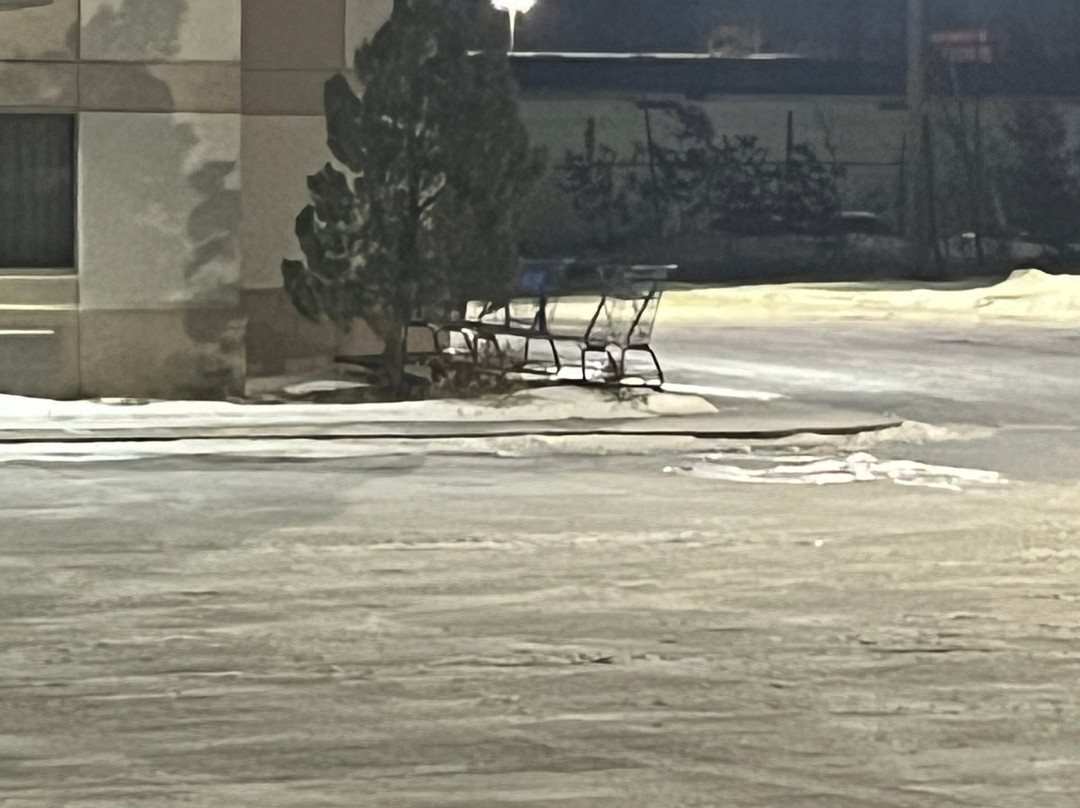 Super 8 by Wyndham Bemidji MN主图