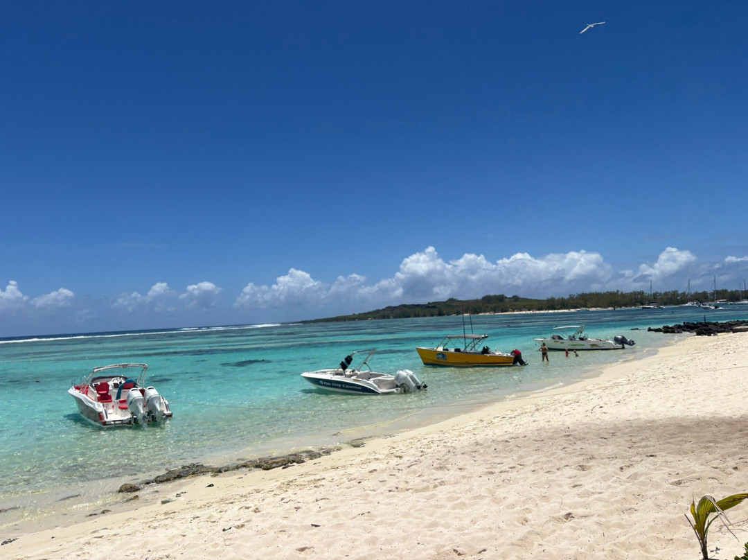 One Drop Excursions-格兰高伯必去景点