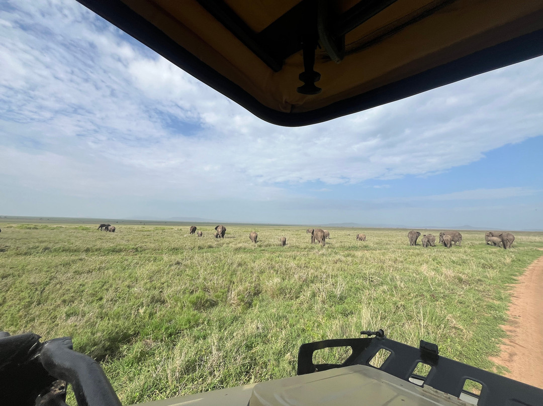 Meerkat Expedition-阿鲁沙必去景点