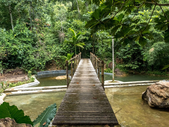 Kingdom Secret主图