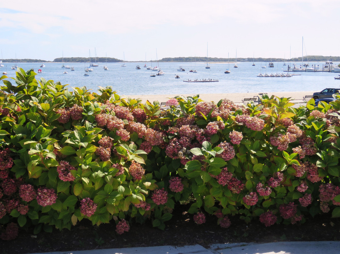 Veterans Memorial Park-海恩尼斯必去景点