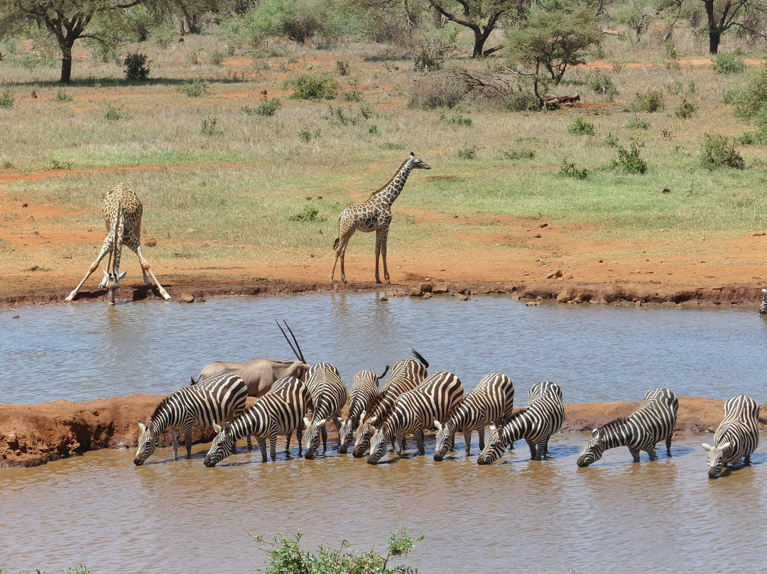 Abdull Safari Kenya-瓦塔木必去景点