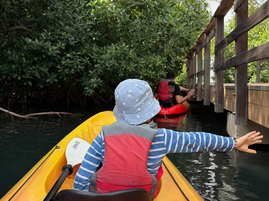 Curaçao Rif Mangrove Park-威廉斯塔德必去景点