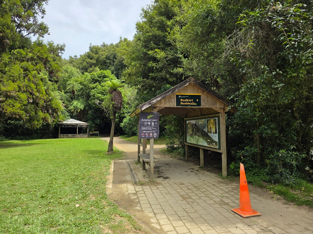 Ruakuri Walk-怀托摩洞穴必去景点