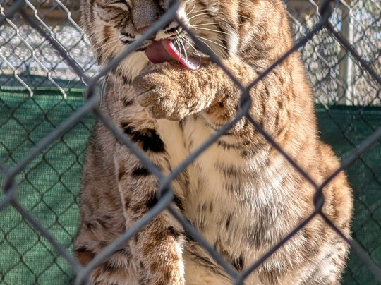Southwest Wildlife Conservation Center-斯科茨代尔必去景点