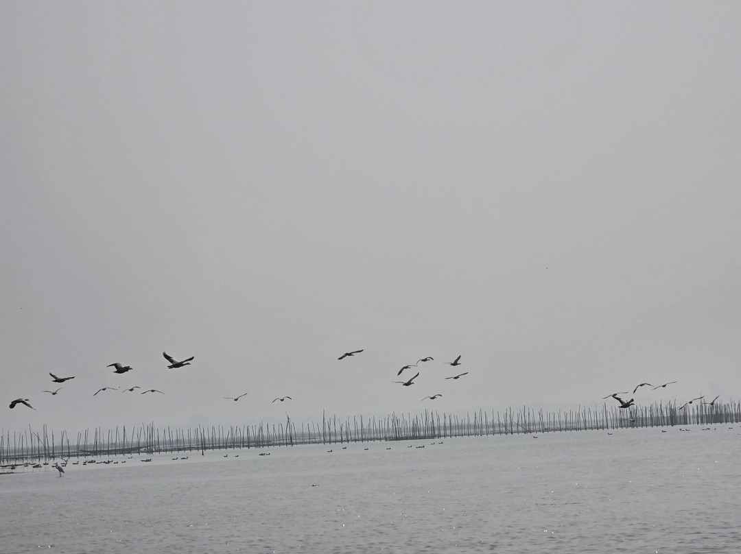 Chilika Lake-普里必去景点