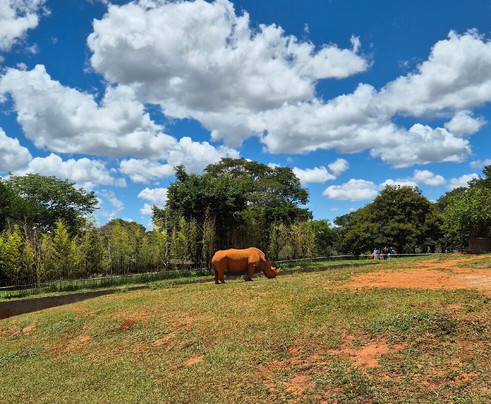 Jardim Zoológico De Brasília-巴西利亚必去景点