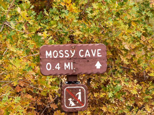 Mossy Cave Trail-布莱斯峡谷国家公园必去景点