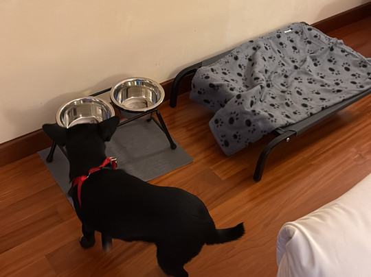 贝斯特韦斯特迪梅达优尼酒店主图