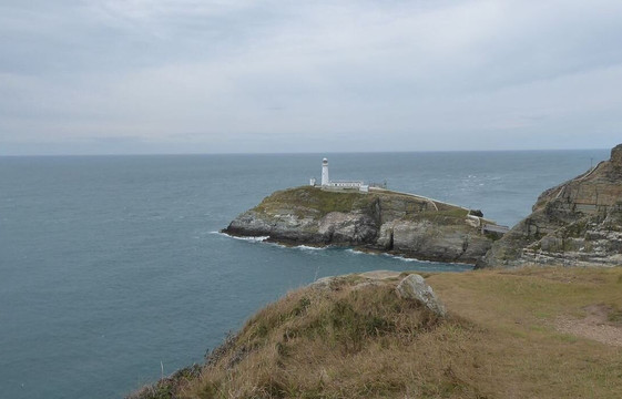 South Stack Cliffs RSPB Reserve-Holyhead必去景点