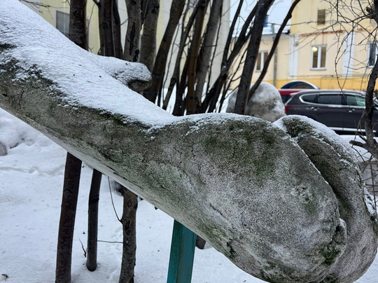 The Lower Jaw of a Blue Whale-摩尔曼斯克必去景点
