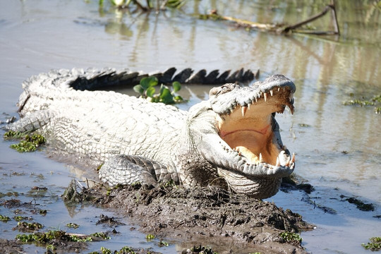 Vietnature Tour (cattien Wild Tour)-Tan Phu District必去景点