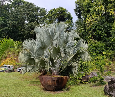 Jardin Botanique de Valombreuse-Petit-Bourg必去景点