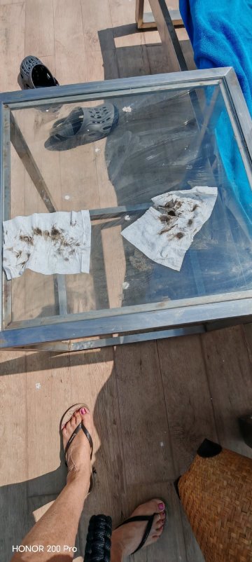 芭堤雅中天海洋码头酒店-官方