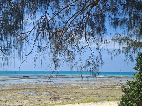 UROA SMILE TOURS-乌罗阿必去景点