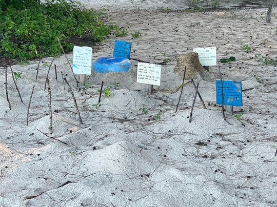 Kasa Diving - Diving Maziwe Marine Reserve-Pangani必去景点