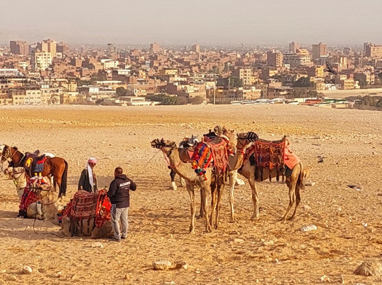 Nabq Tours for Excursions in Egypt-沙姆沙伊赫必去景点
