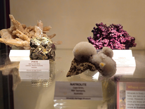 Opal Museum-布里斯班必去景点