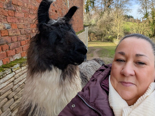 Briery Hill Llamas-Kilcot必去景点