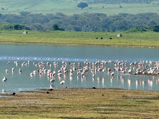 Takims Holidays-阿鲁沙必去景点