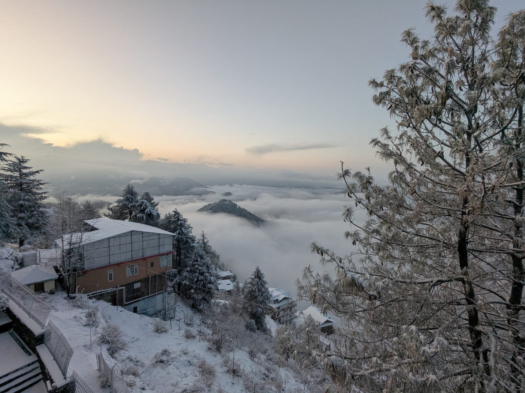 Taj Theog Resort & Spa主图