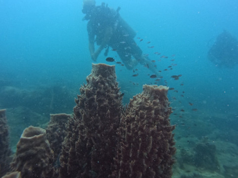 Koh Rong Dive Center-高龙必去景点