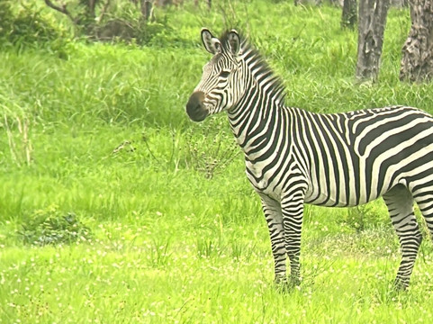 Marmara Holidays-Dar es Salaam必去景点