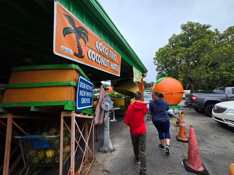 Bob Roth's New River Groves-戴维必去景点