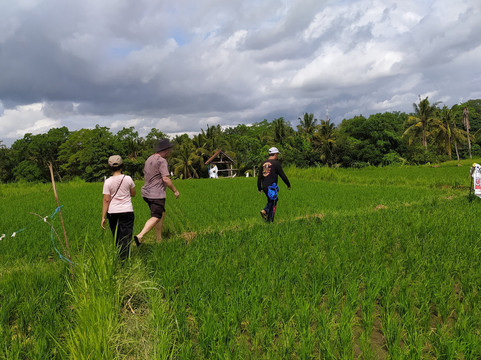 Happy Local adventure-Medahan必去景点