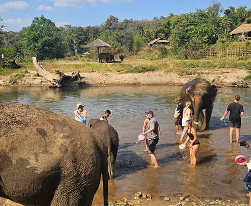 Living Green Elephant Sanctuary-清迈必去景点